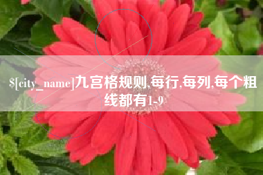 锦州九宫格规则,每行,每列,每个粗线都有1-9