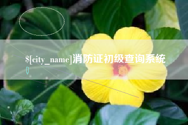 锦州消防证初级查询系统