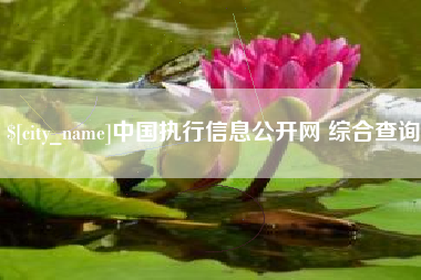 锦州中国执行信息公开网 综合查询