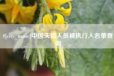 锦州中国失信人员被执行人名单查询