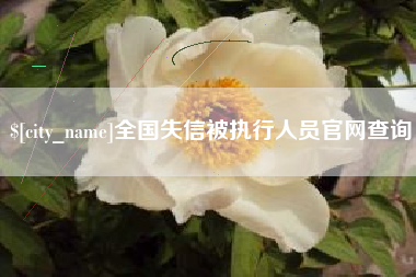 锦州全国失信被执行人员官网查询