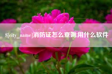 锦州消防证怎么查询,用什么软件