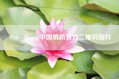 锦州中国消防官方二维码图片