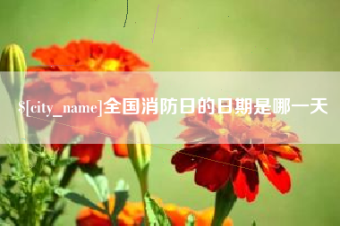 锦州全国消防日的日期是哪一天