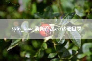 锦州消防产品cccf认证目录