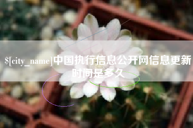 锦州中国执行信息公开网信息更新时间是多久