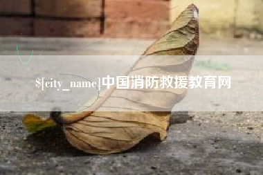 锦州中国消防救援教育网