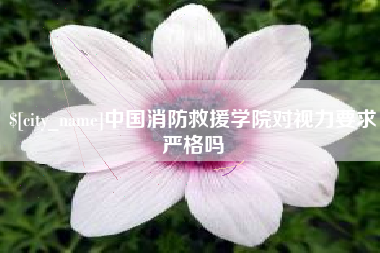 锦州中国消防救援学院对视力要求严格吗