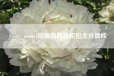 锦州河南消防学校招生分数线