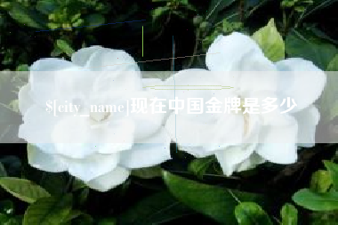 锦州现在中国金牌是多少