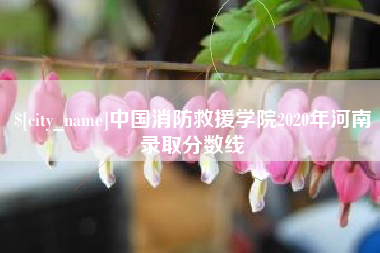 锦州中国消防救援学院2020年河南录取分数线