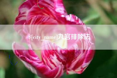 锦州九宫排除法