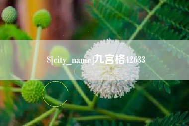 锦州九宫格42633