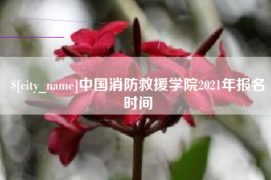 锦州中国消防救援学院2021年报名时间