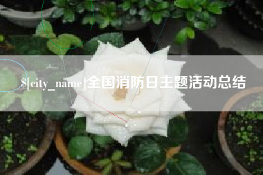 锦州全国消防日主题活动总结