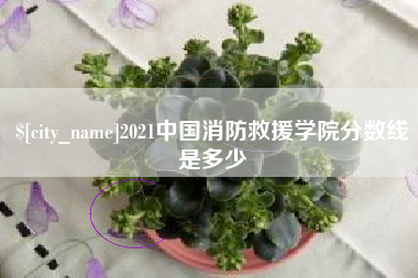 锦州2021中国消防救援学院分数线是多少