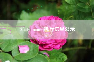 锦州执行信息公示