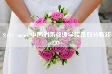 锦州中国消防救援学院录取分数线2020