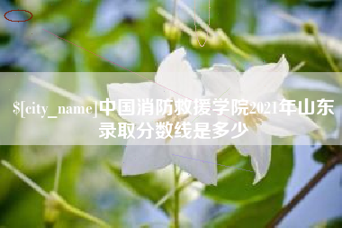 锦州中国消防救援学院2021年山东录取分数线是多少