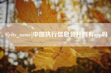 锦州中国执行信息公开网有app吗