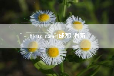 锦州成都 消防