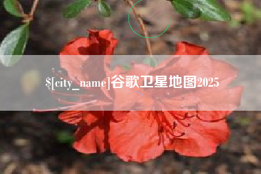 锦州谷歌卫星地图2025