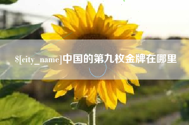 锦州中国的第九枚金牌在哪里
