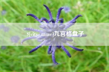 锦州九宫格盘子