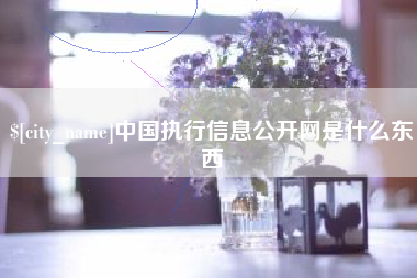 锦州中国执行信息公开网是什么东西