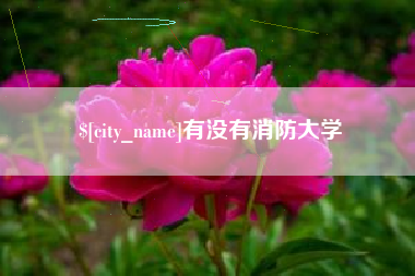 锦州有没有消防大学