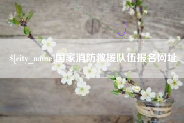 锦州国家消防救援队伍报名网址