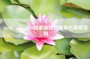 锦州2020国家消防救援报名系统官网