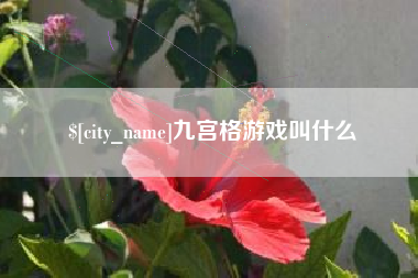 锦州九宫格游戏叫什么