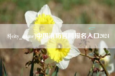 锦州中国消防官网报名入口2024