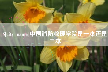 锦州中国消防救援学院是一本还是二本