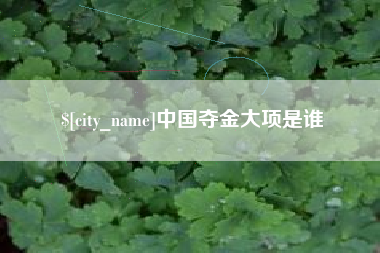 锦州中国夺金大项是谁