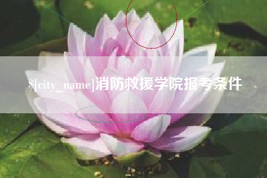 锦州消防救援学院报考条件