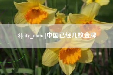 锦州中国已经几枚金牌
