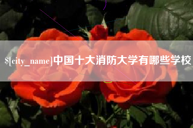 锦州中国十大消防大学有哪些学校