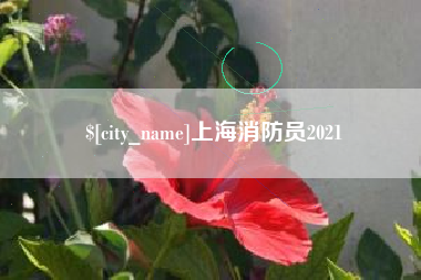锦州上海消防员2021