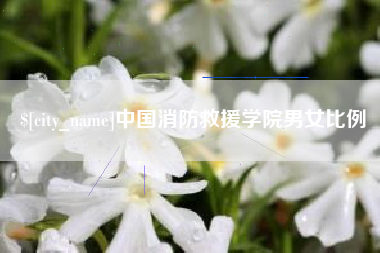 锦州中国消防救援学院男女比例
