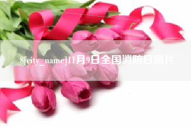 锦州11月9日全国消防日图片