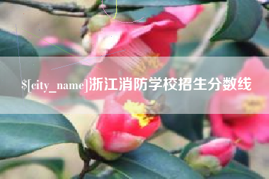 锦州浙江消防学校招生分数线