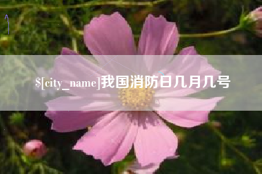 锦州我国消防日几月几号