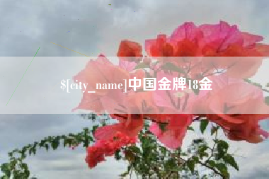 锦州中国金牌18金