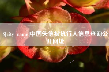 锦州中国失信被执行人信息查询公开网址