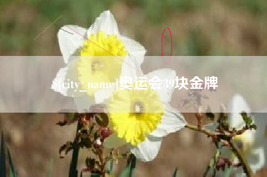 锦州奥运会39块金牌