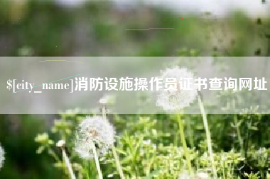 锦州消防设施操作员证书查询网址