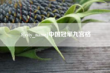 锦州中国冠军九宫格