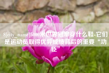 锦州5000米世界冠军穿什么鞋-它们是运动员取得优异成绩背后的重要“功臣”